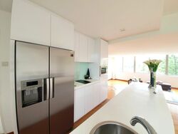 Nassim Regency (D10), Condominium #433461771